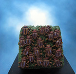 Painted Reaper Miniature Scarab Beetle Swarm
